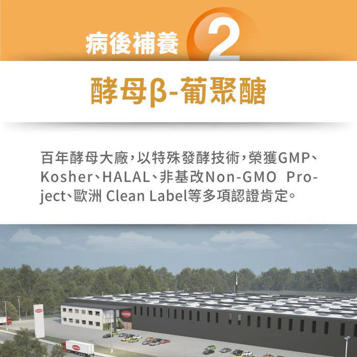 達摩本草 日本專利沖繩褐藻醣膠 60粒