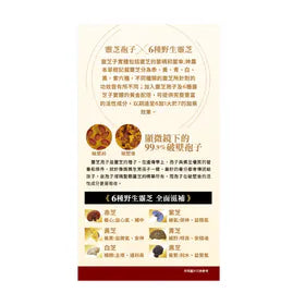 NOTO樂道 大學靈芝60粒
