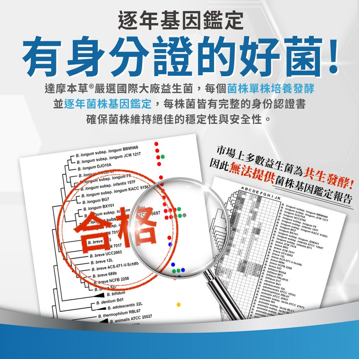 達摩本草 五國專利300億ABC益生菌 30包